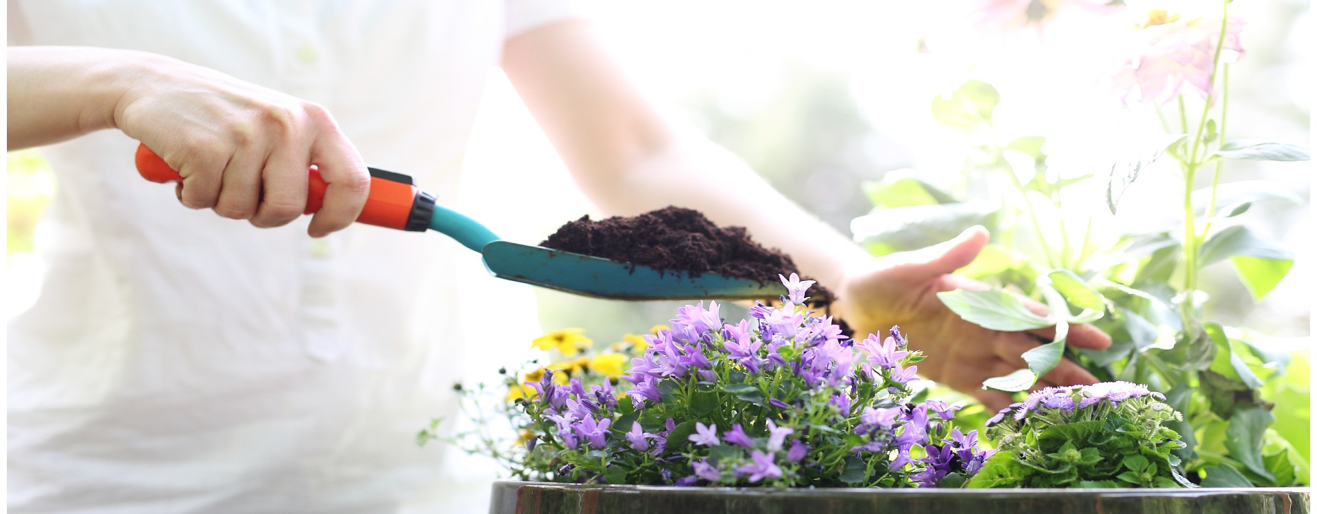 7 najważniejszych narzędzi każdego ogrodnika